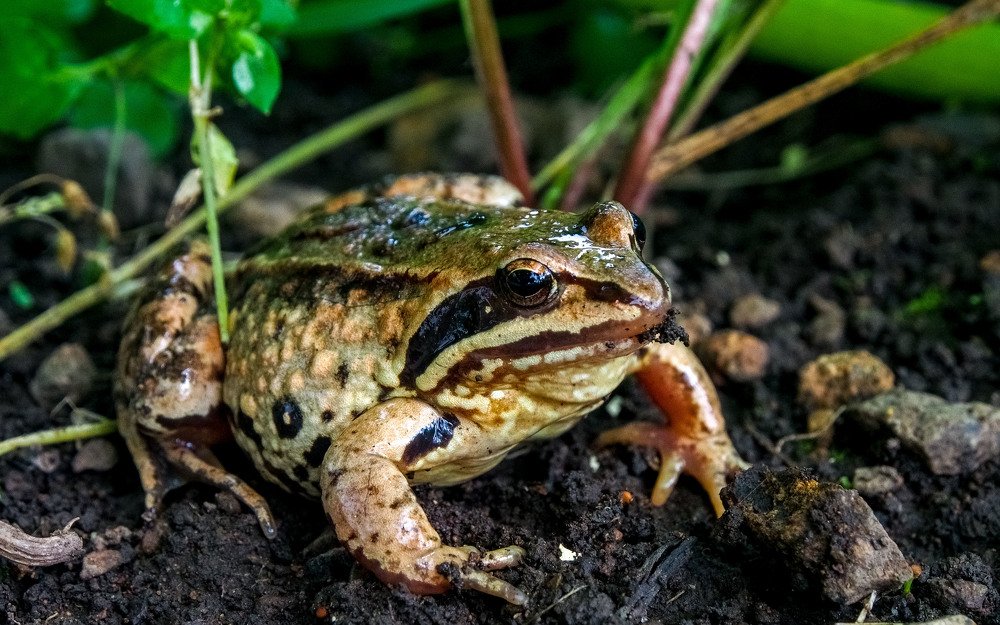 Photograph by Дмитрий Чирков