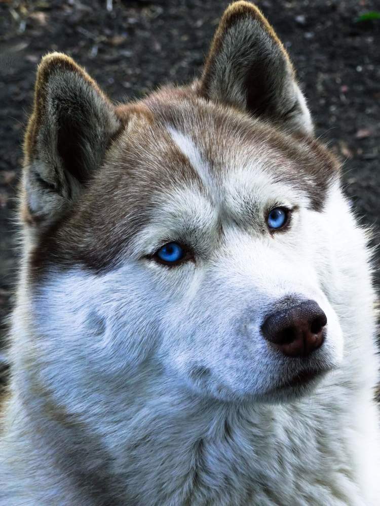 Photograph by Анжелика Трошина