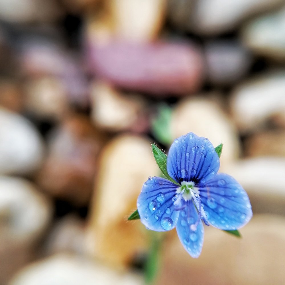 Photograph by Тамара Тренкеншу