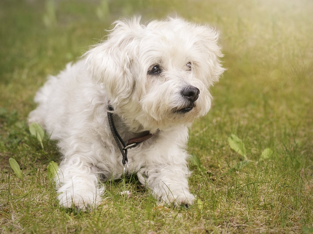 Photograph by Anna Sindikayeva