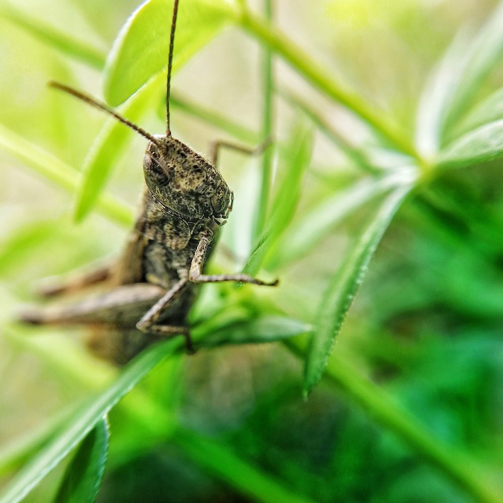 Photograph by Тамара Тренкеншу