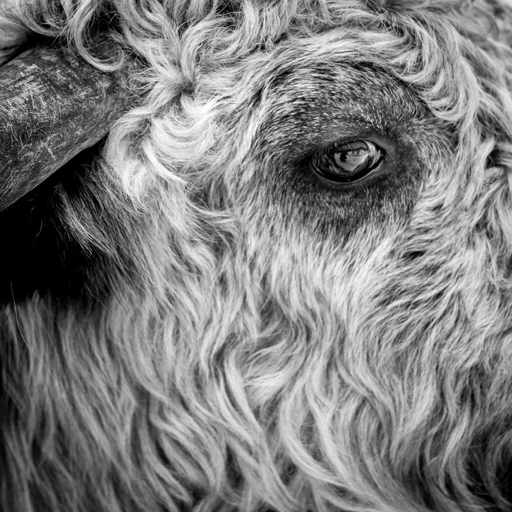 Photograph by Константин Гончаров