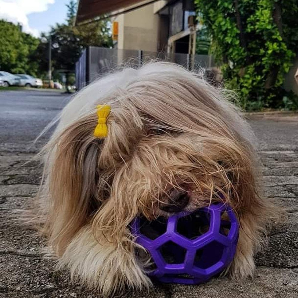 Фотография автора Suzana Svecnjak