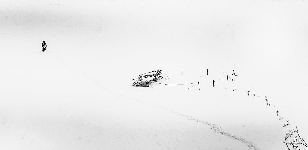 Photograph by Борис Воронин