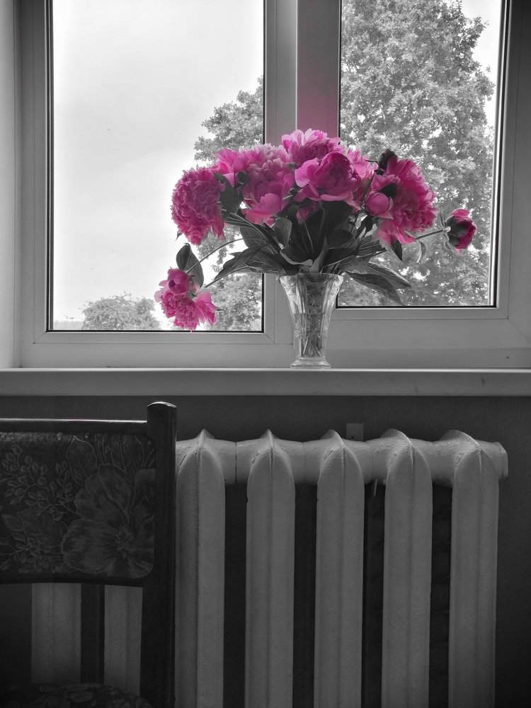 Photograph by Olga Haritonovich