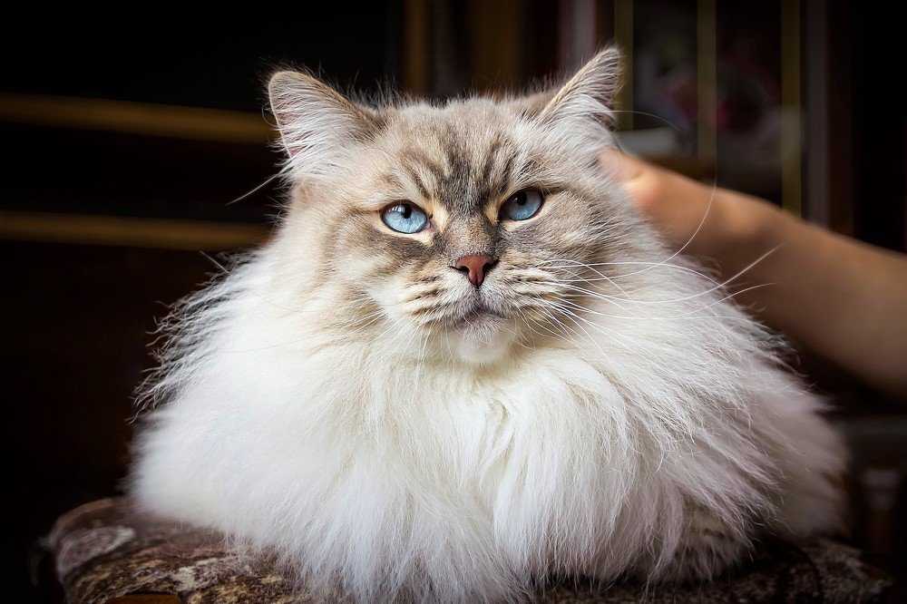 Photograph by Ирина Решетникова