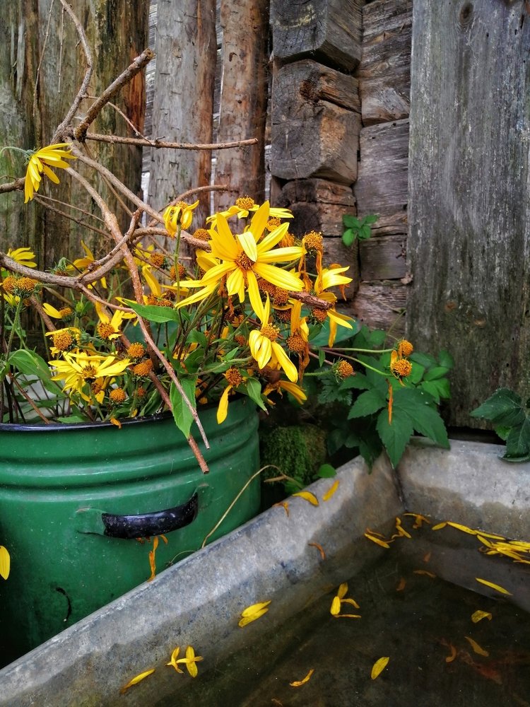 Photograph by Olga Haritonovich