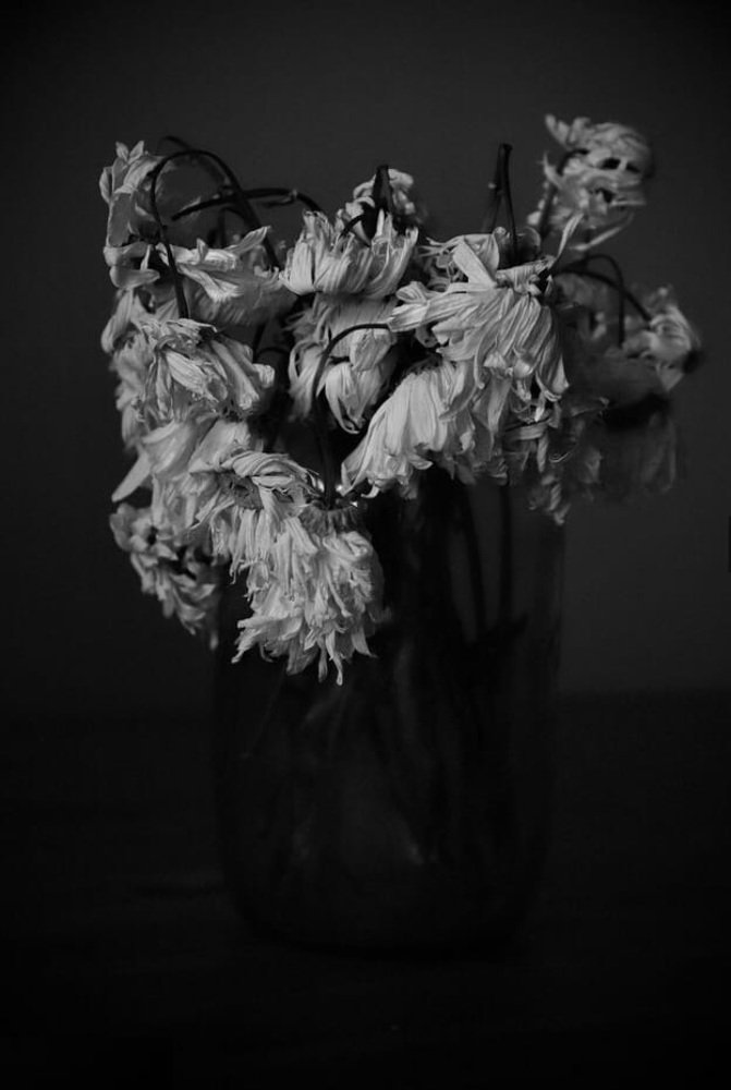 Photograph by Газетдинов Айрат