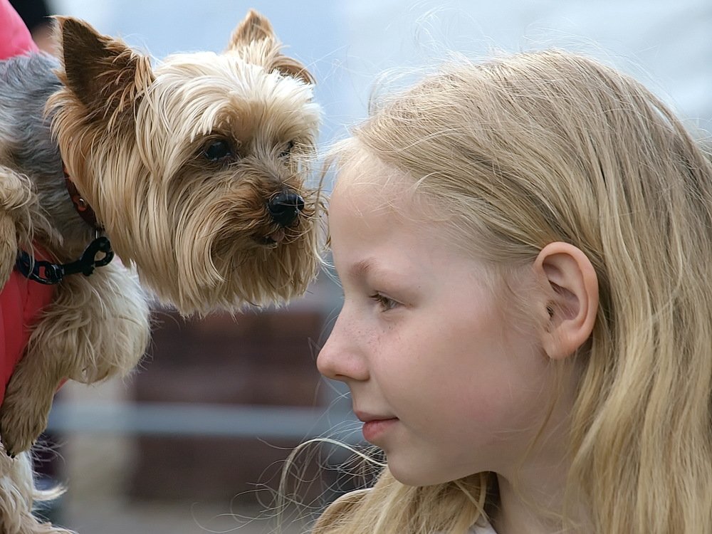 Photograph by Игорь Чеботарёв