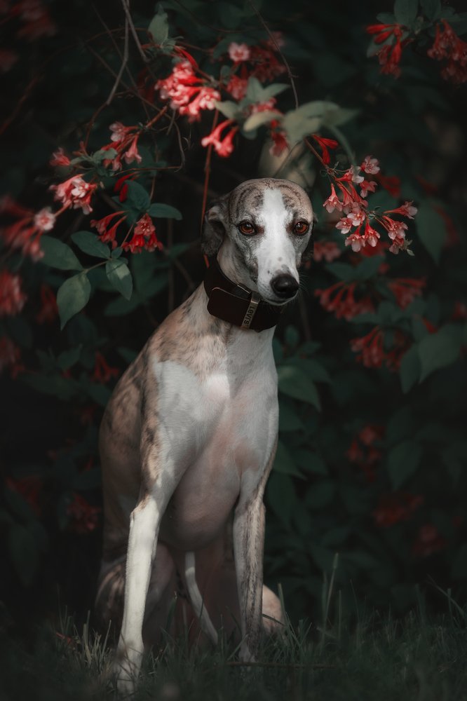 Photograph by Анастасия Корбут