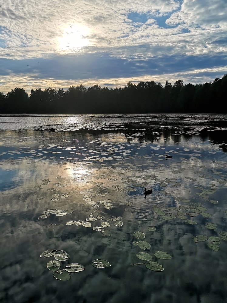 Магия вечернего озера...