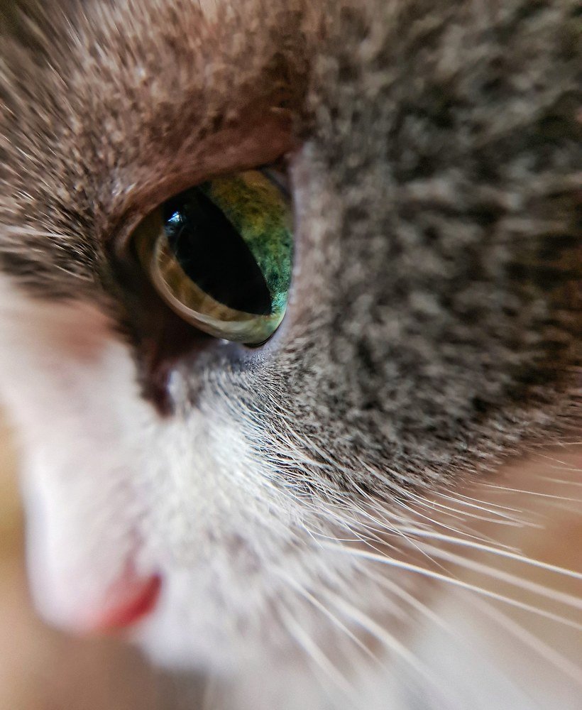 Photograph by Светлана Смирнова