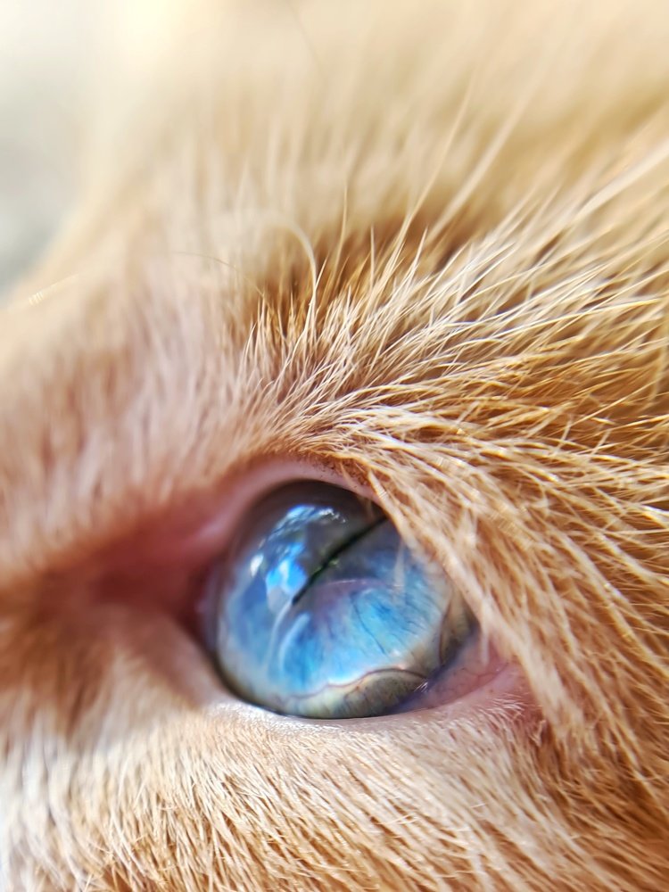 Photograph by Светлана Смирнова