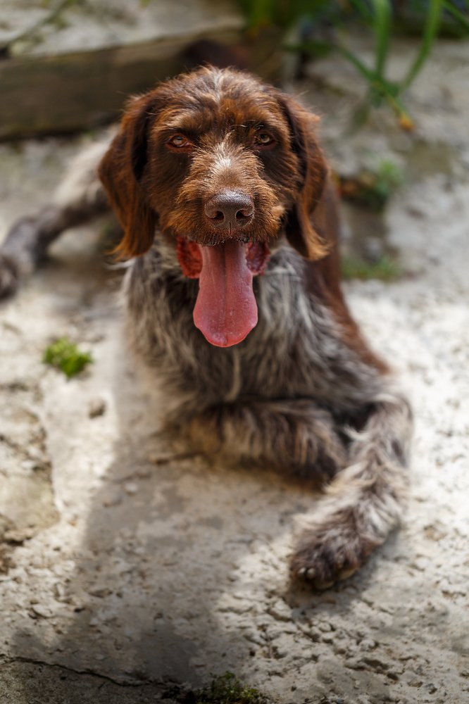 Photograph by Veronika Trubnikova