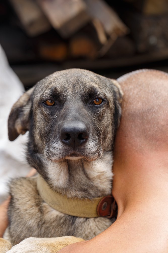 Photograph by Veronika Trubnikova