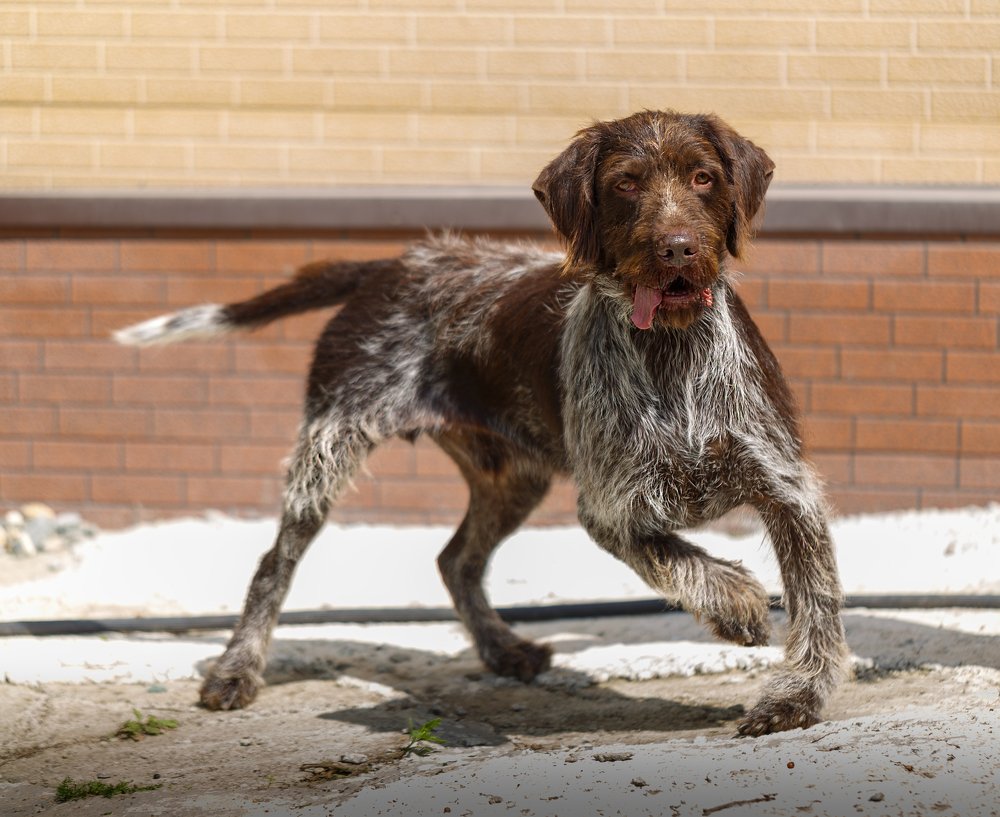 Photograph by Veronika Trubnikova