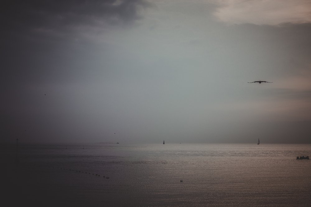 Photograph by Veronika Trubnikova