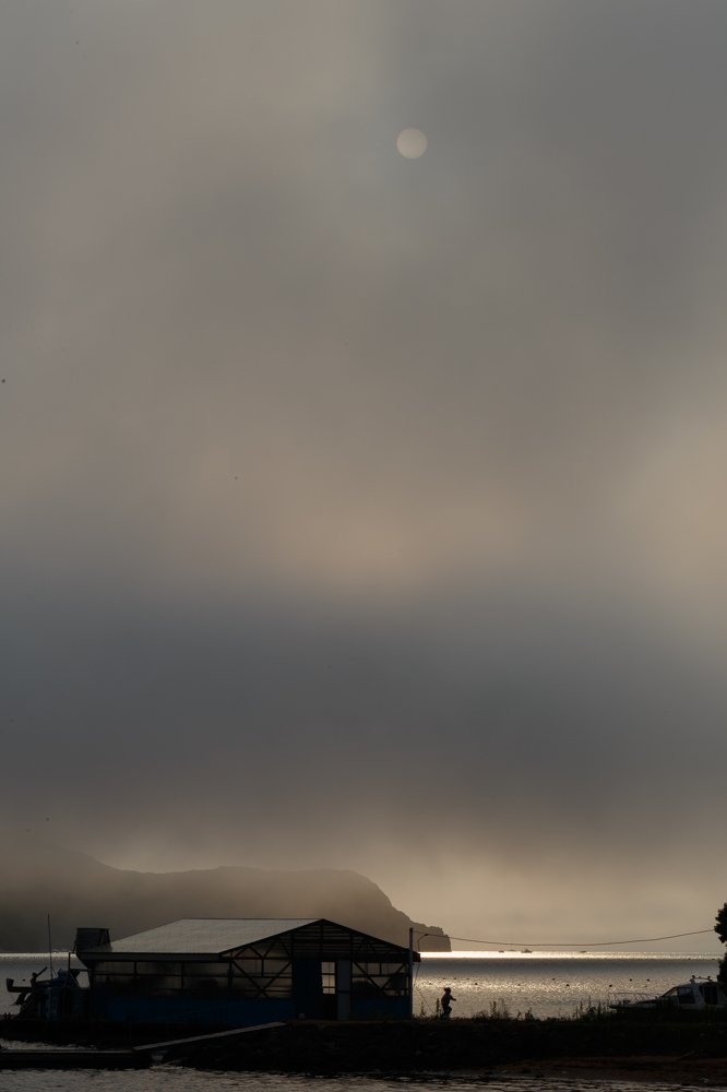 Photograph by Veronika Trubnikova