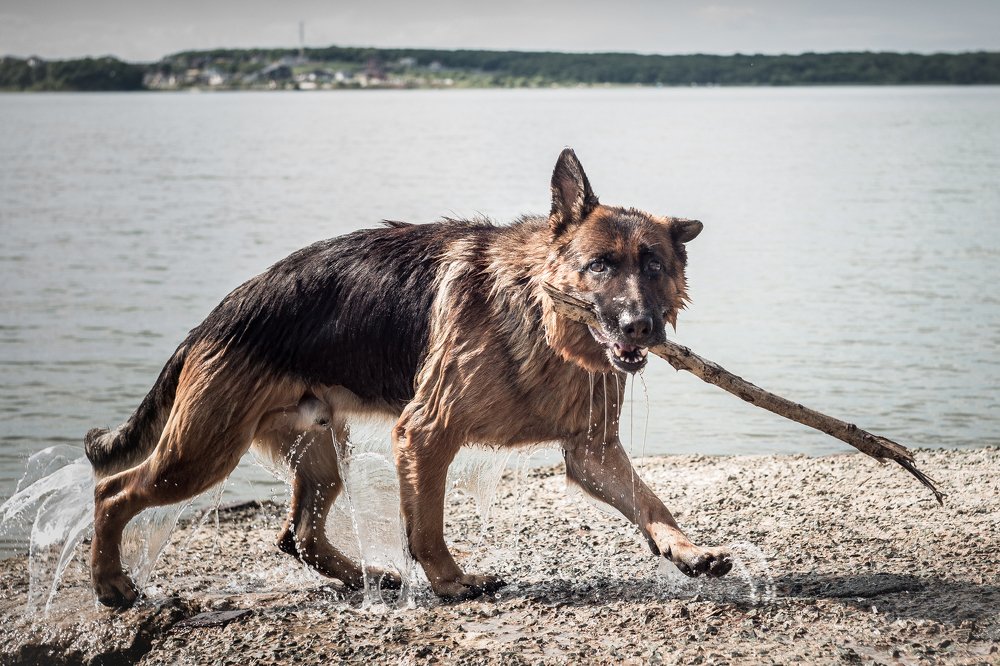 Photograph by Veronika Trubnikova