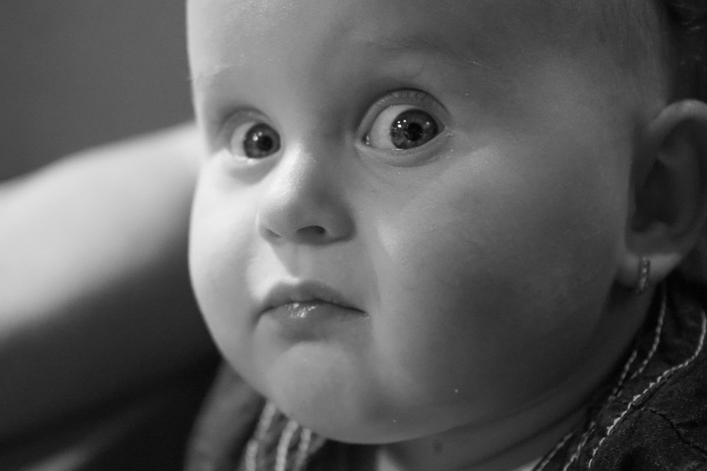 Photograph by Антонина Вишневская