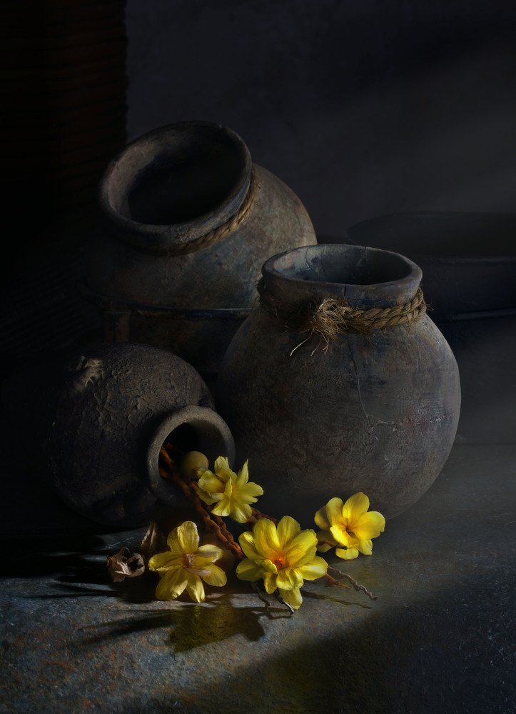 Photograph by Eduardo Modolo