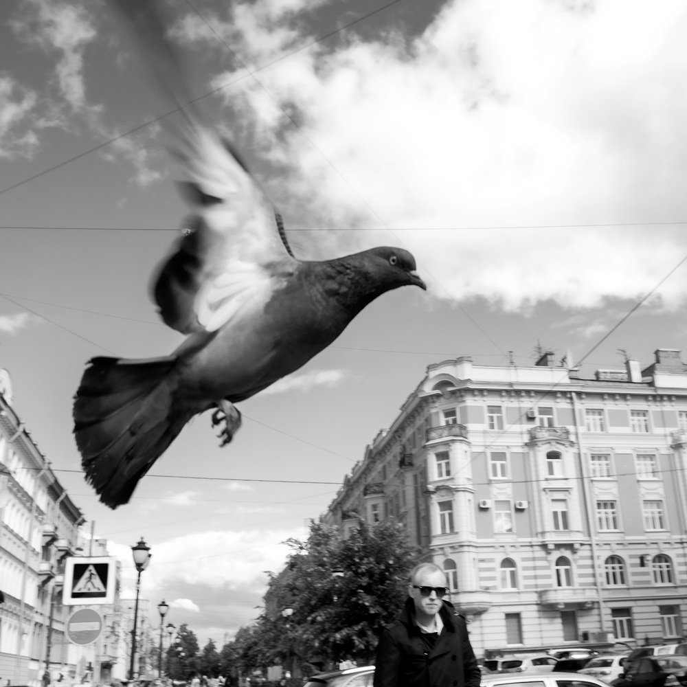 Photograph by Александр Максимов