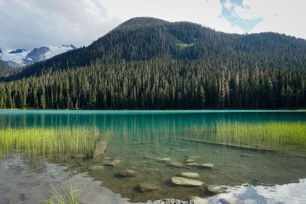 Photograph by Vinicius Dattwyler