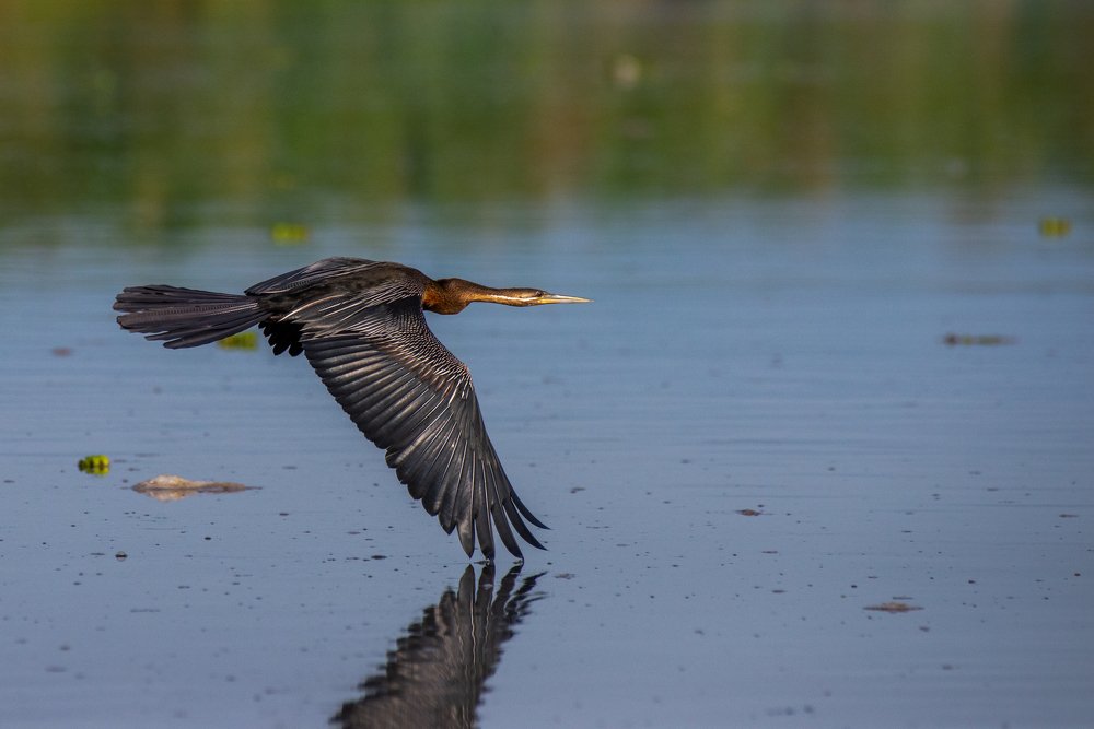 Photograph by Ricardo Núñez Montero