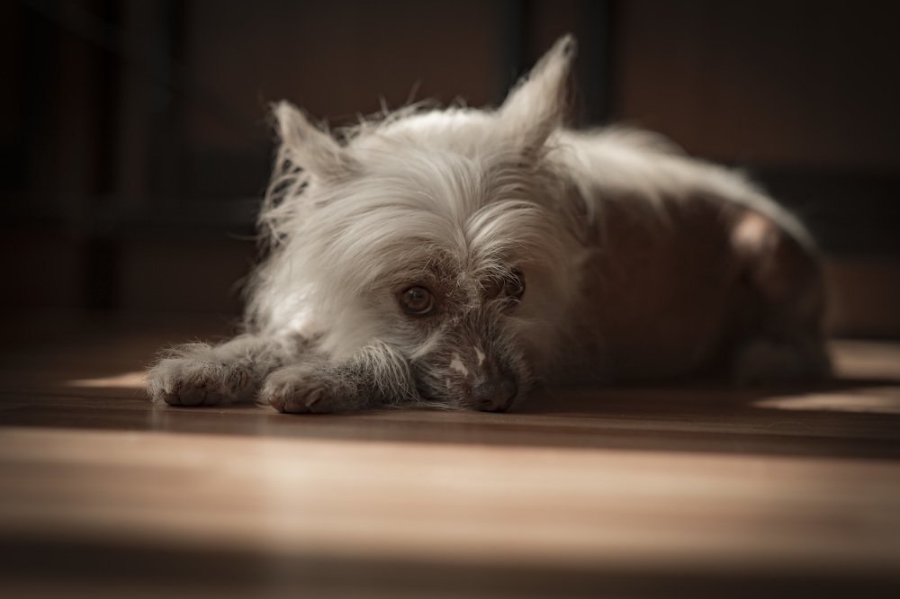 Photograph by Лилия Чернова