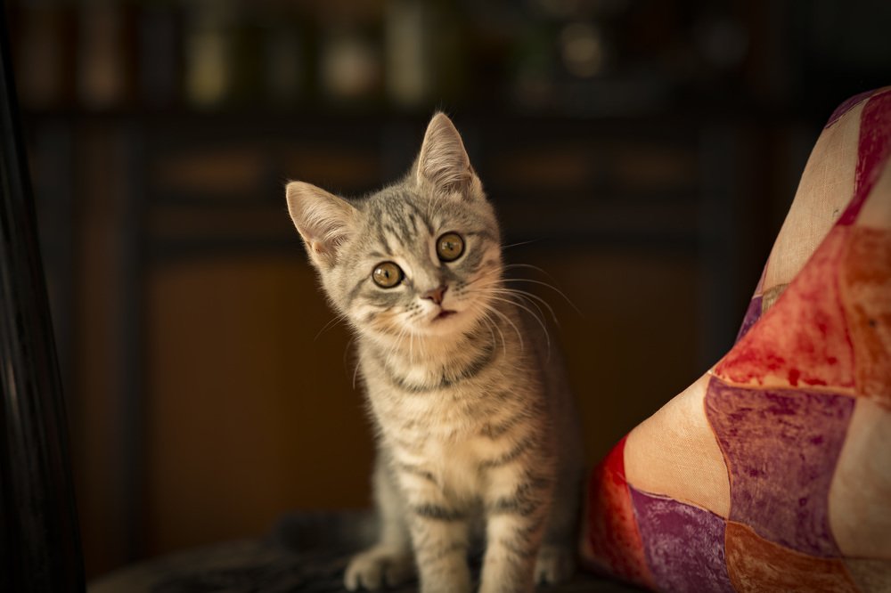 Photograph by Лилия Чернова