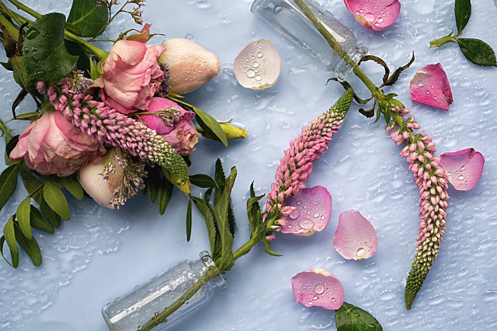 Photograph by Александра Коновалова