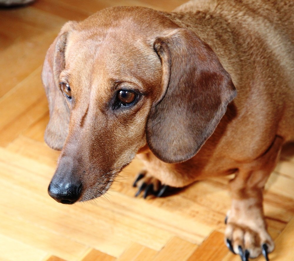 Photograph by Александр Бугаенко