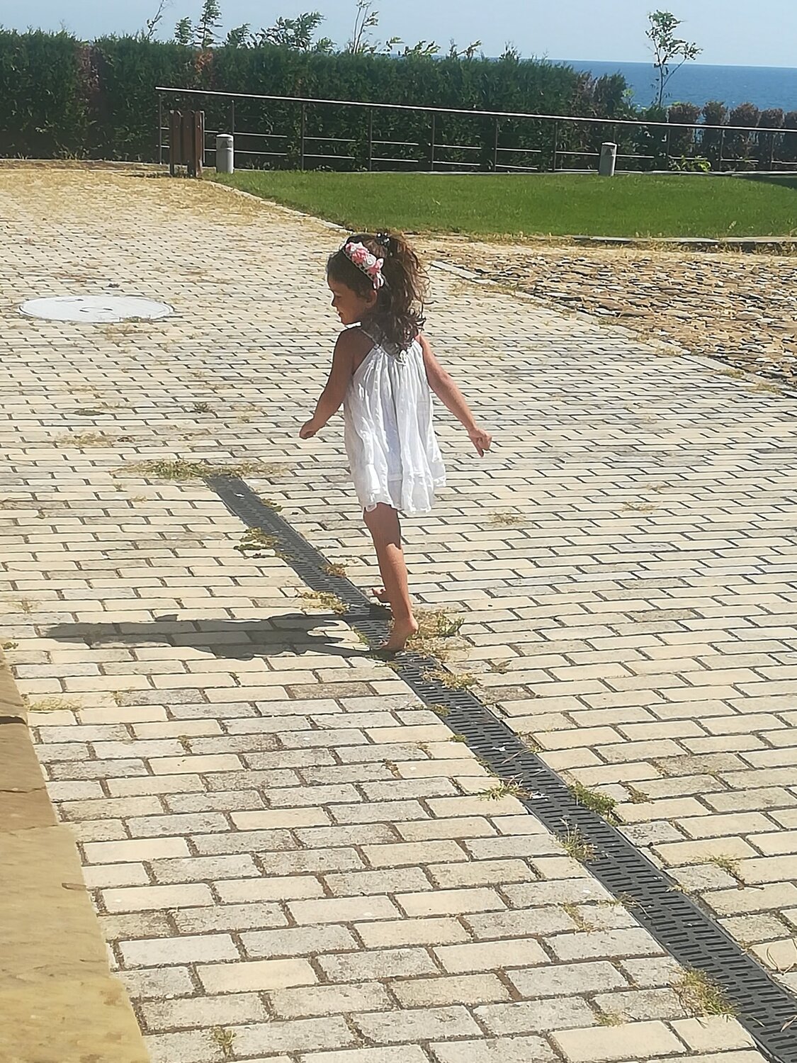 Photo #4969210