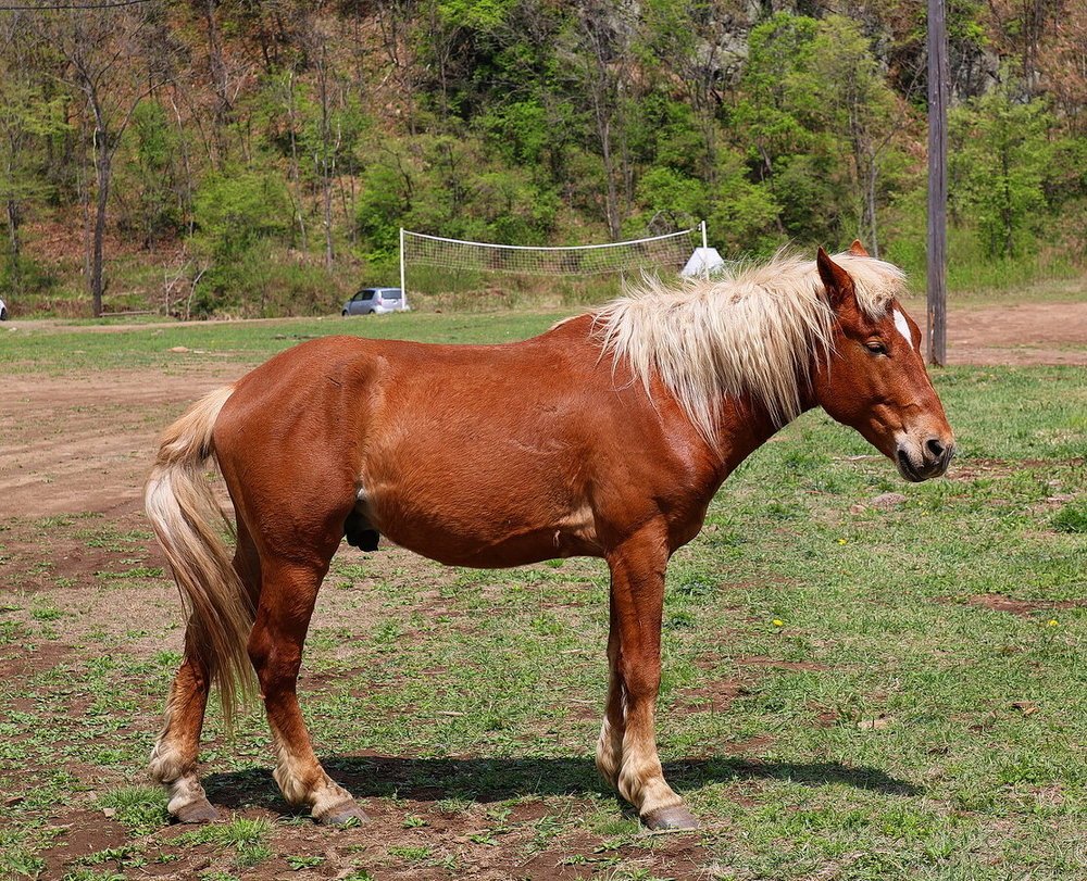 Фотография автора АЛЕКСАНДР ЦЫГЕЛЬНЮК