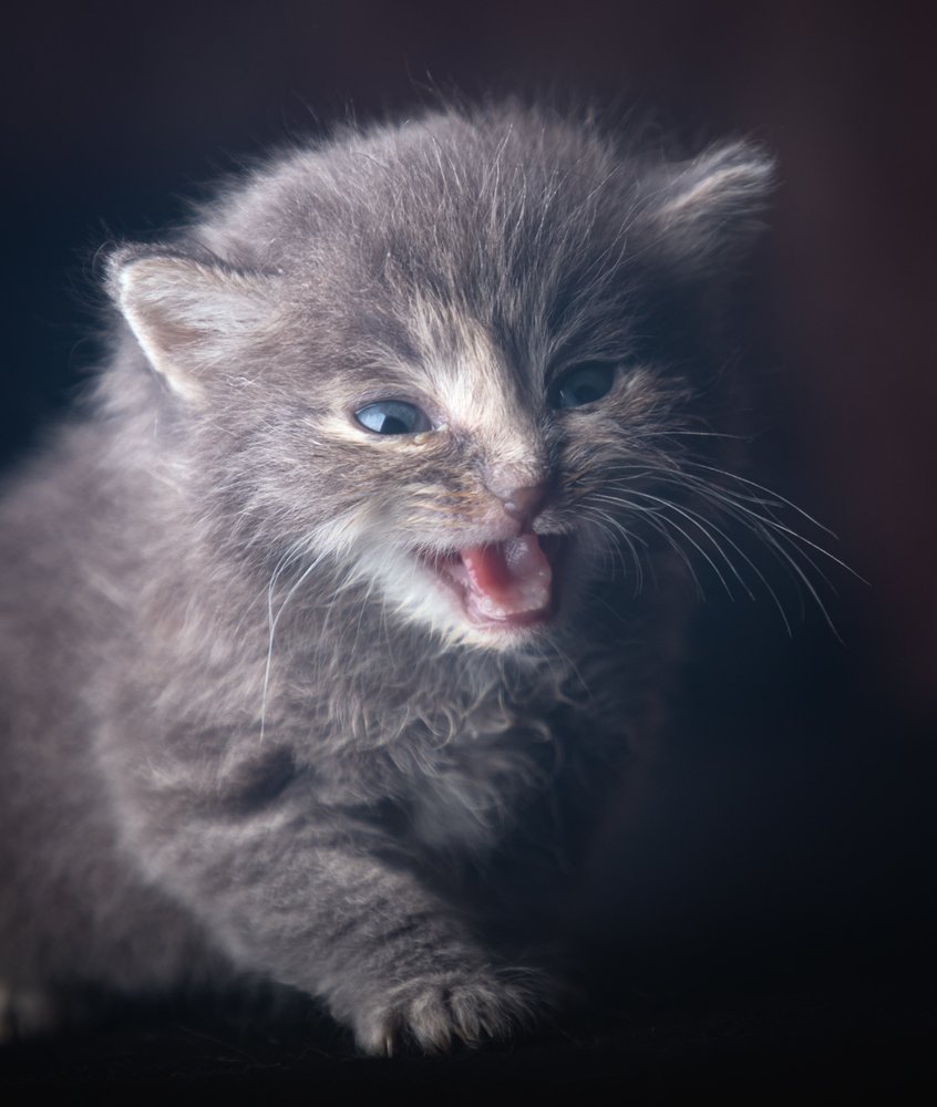 Photograph by Николай Андреев