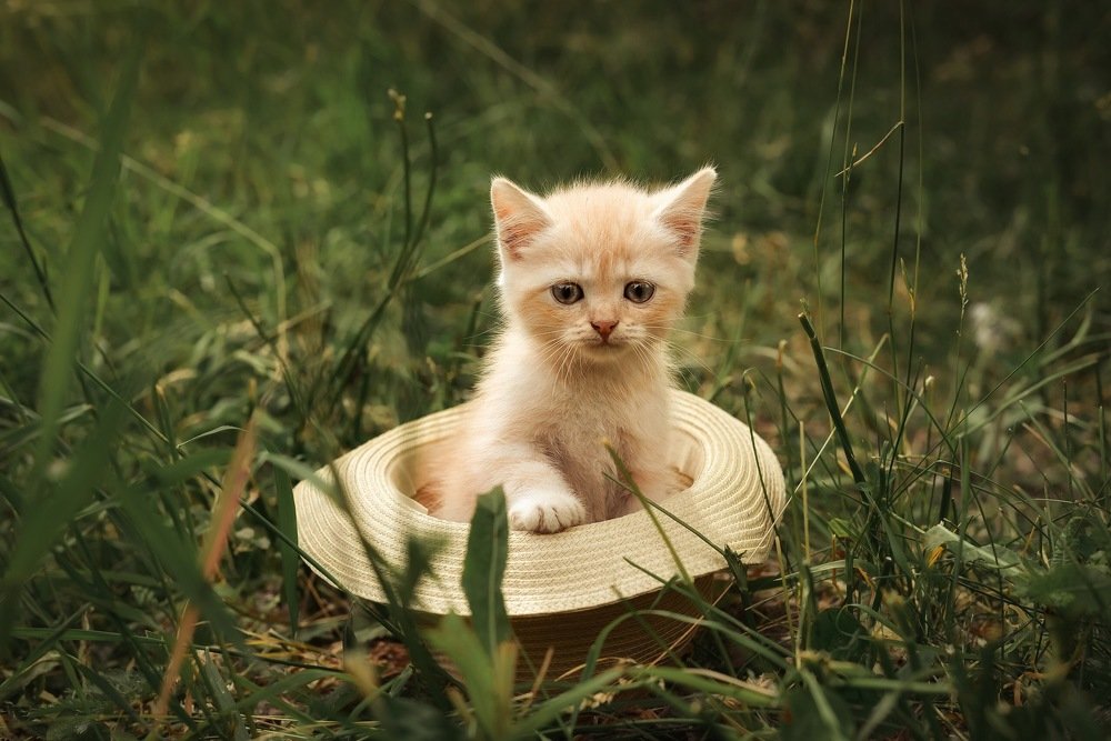 Photograph by Печерских Ксения