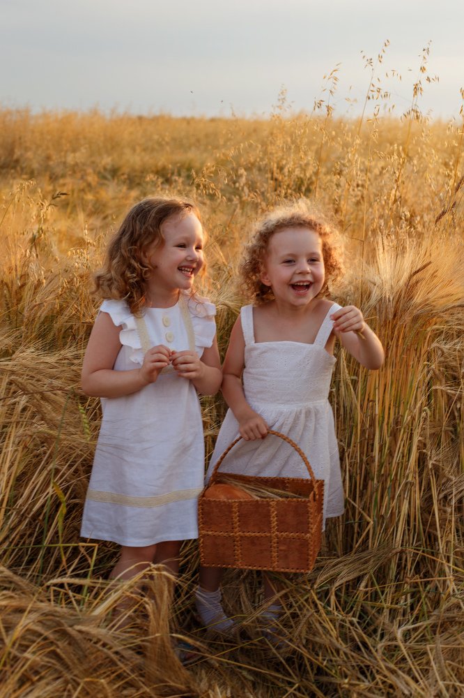 солнечные зайчики