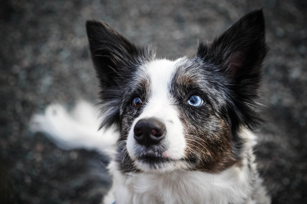 Photograph by Андрей Игнатенко