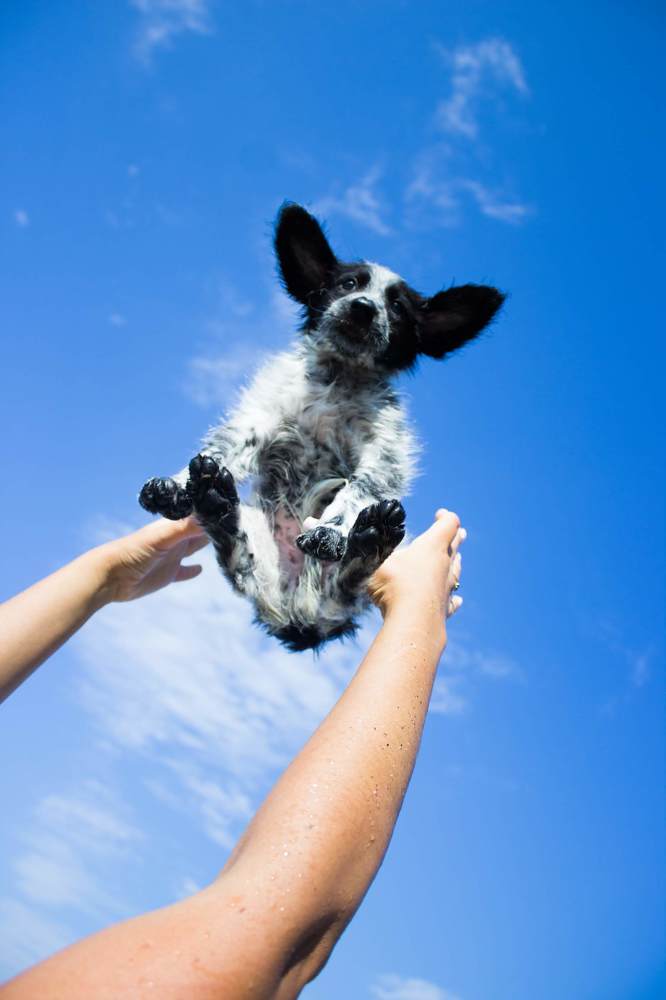 Фотография автора Дина Буланова