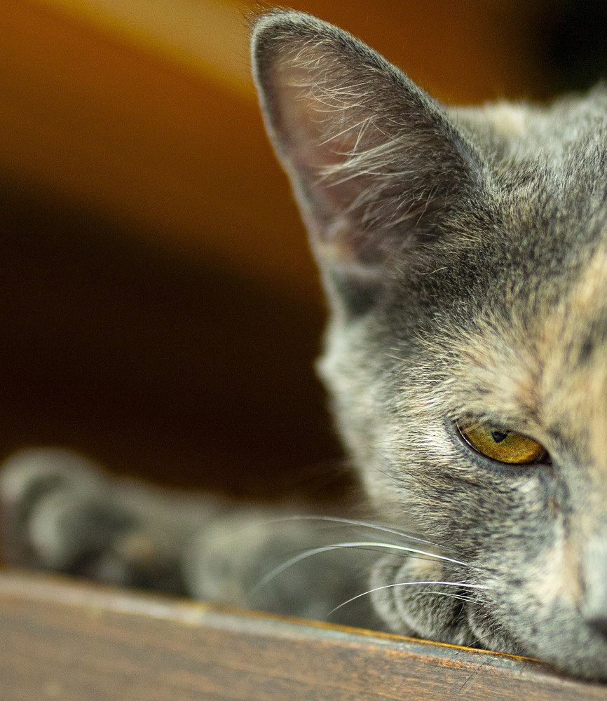 Photograph by ИРЕНА Федорова