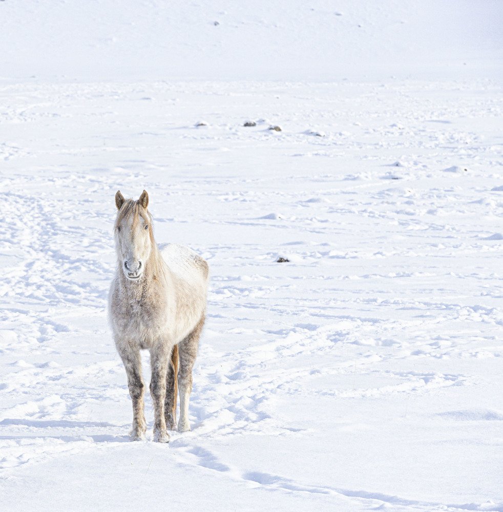 Photograph by ИРЕНА Федорова
