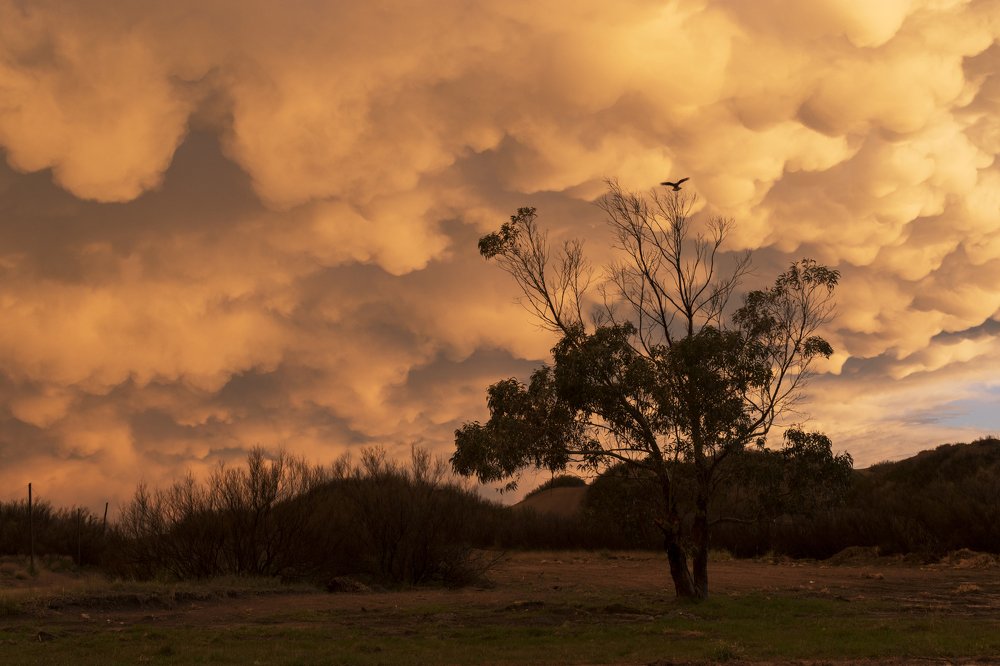 Photograph by Lucia Ana Juárez