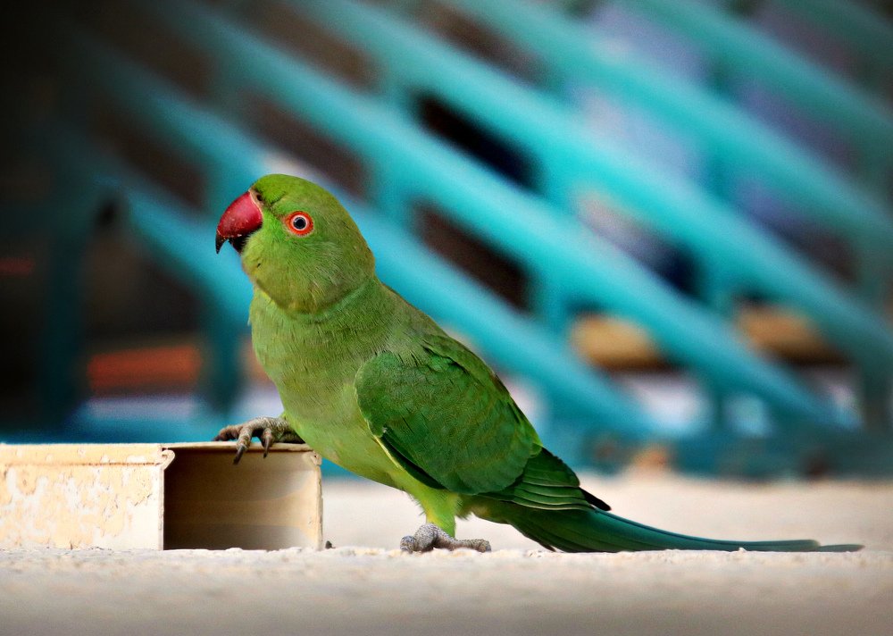 Photograph by Irina Radzinskaya