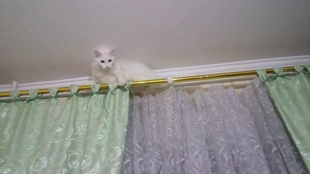 Photograph by Надежда Унежева