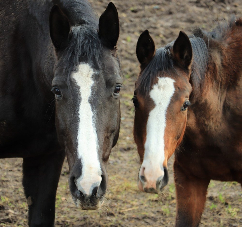 Photograph by Jelena Dzene