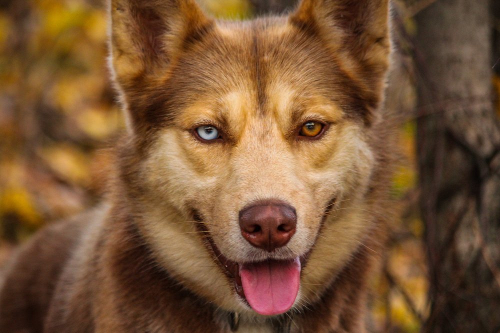 Photograph by Елена Верховская