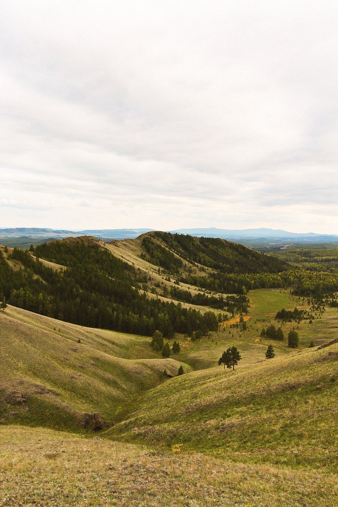 Photograph by Дарья Кузьминых