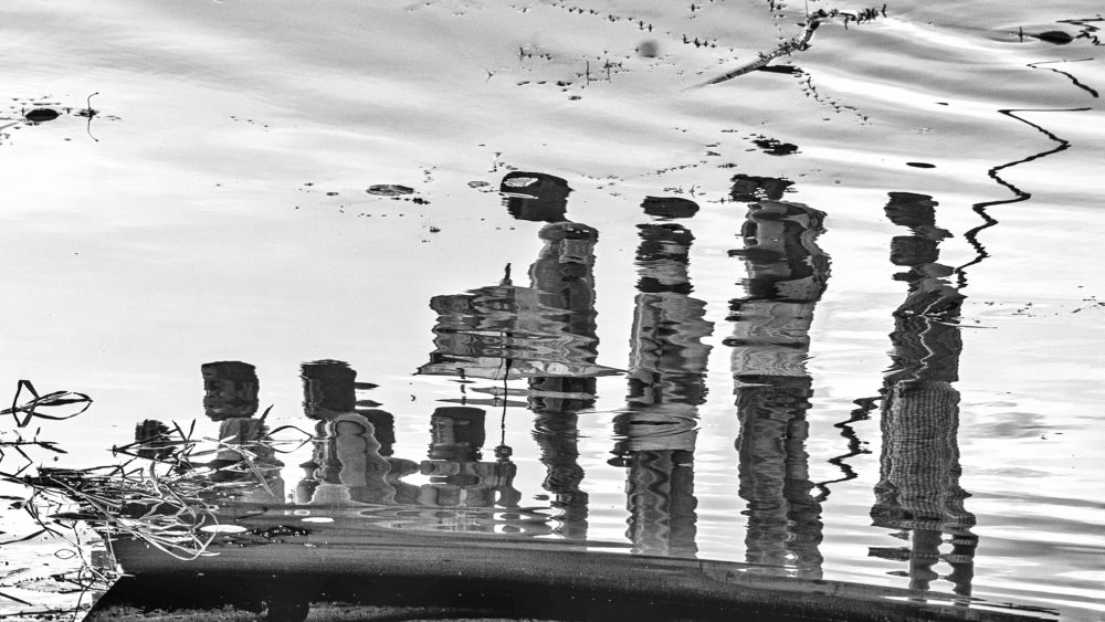 Photograph by Shawon Kuri