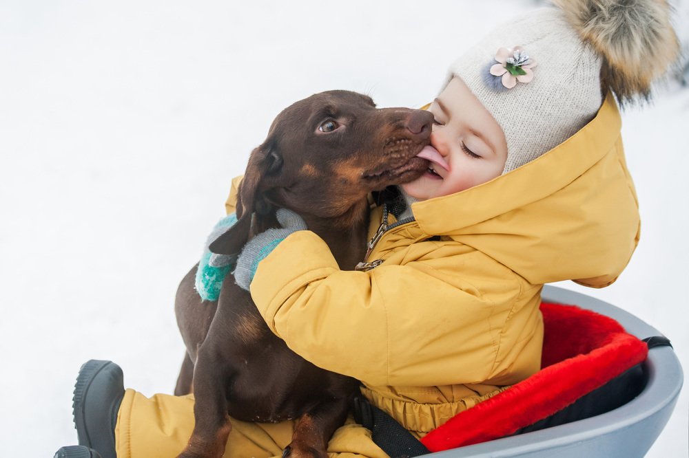 Photograph by Ольга Мурзина