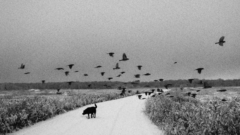 Photograph by Александр Бычков